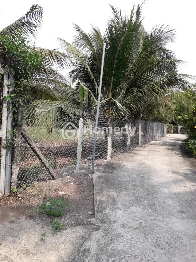 Cần Bán Lô An Sơn 32 Thuận An, Bình Dương Diện Tích 15,4X32M Thổ Cư 100M² Lh 0974218***