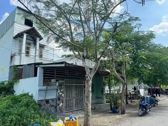 Bán Nhà 4 Tầng 8X20M Full Thổ Cư, 10 Phòng Đang Cho Thuê, Nguyễn Văn