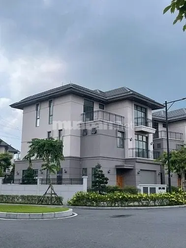 6024887 ảnh đại diện 1