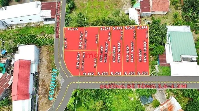 6024167 ảnh đại diện 1