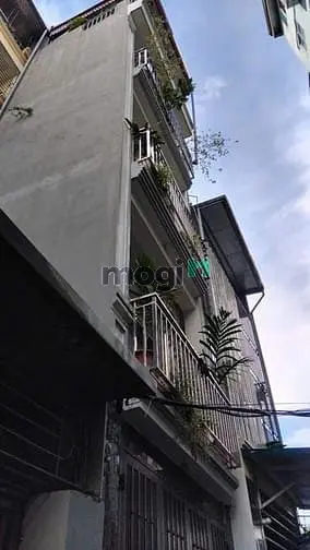 6024216 ảnh đại diện 1