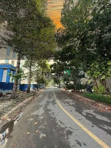 6025522 ảnh đại diện 1