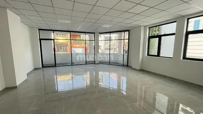 Vip - Cho Thuê Tòa Nhà 38 Trần Khắc Trân, Quận 1 - 8X15 1 Hầm 4 Tầng