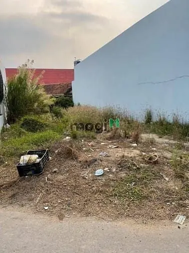 6024605 ảnh đại diện 1