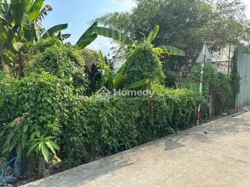6024104 ảnh đại diện 1