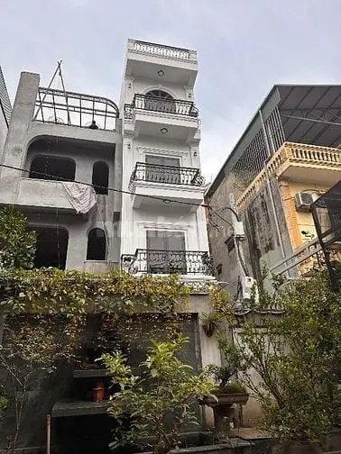 6024063 ảnh đại diện 1