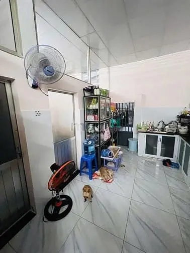 Mặt Tiền Hẻm, Ngang Khủng, Dài 16M, Trung Tâm Quận 7, Nhỉnh 7 Tỷ