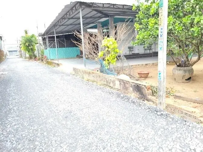 6025870 ảnh đại diện 1