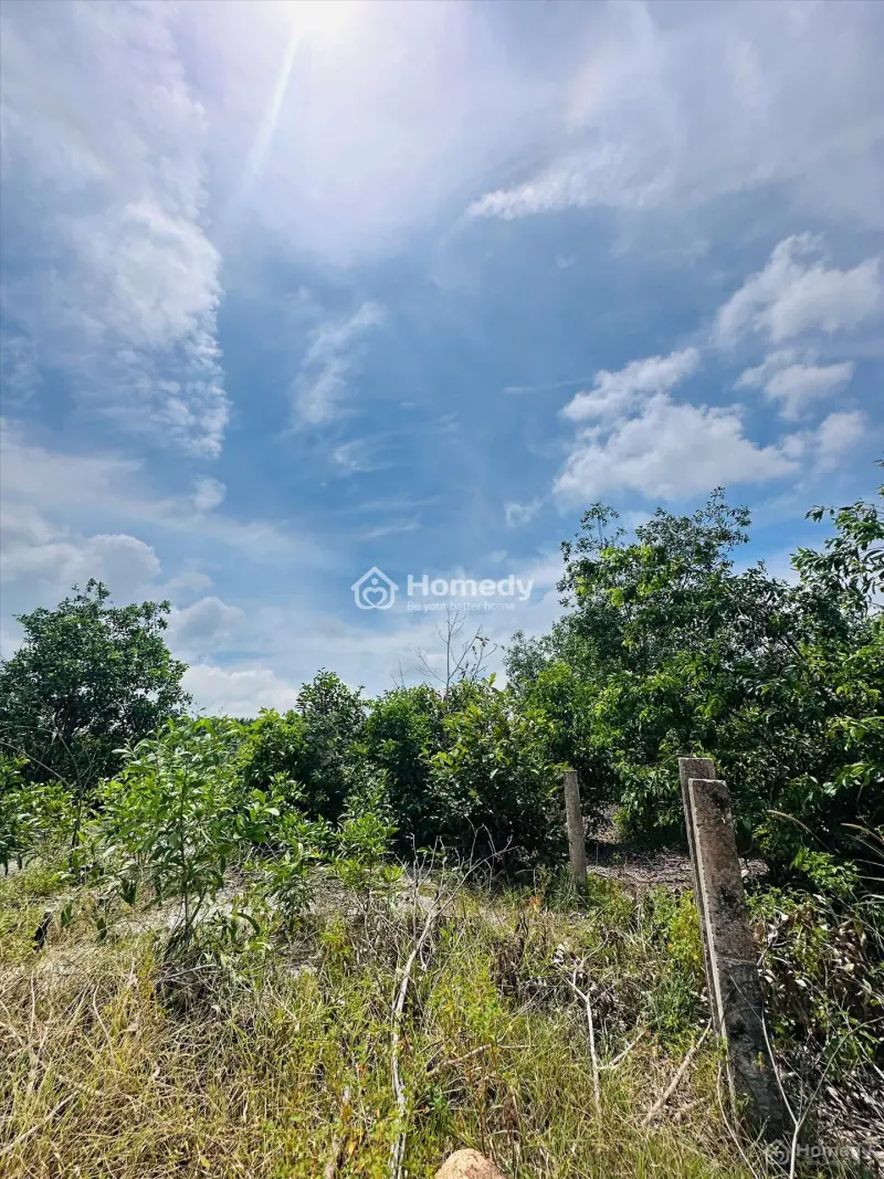 Bán 1001M2 Đất Hẻm Lý Nam Đế - Tân Phước - Tx Lagi Giá Rẻ 950 Triệu