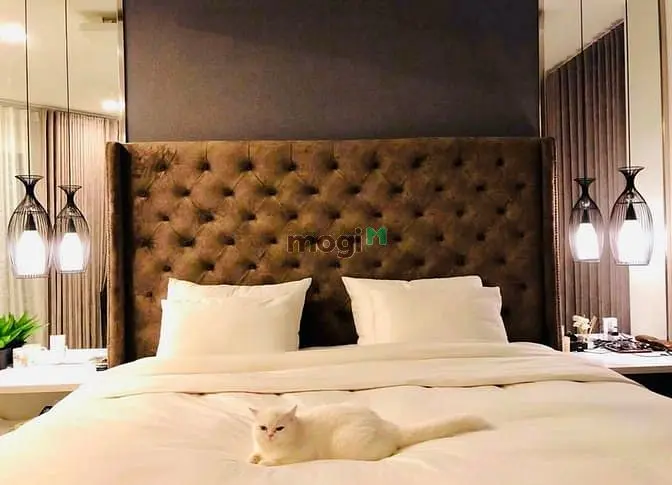 Bán Nhà Đẹp Góc 2 Mặt Tiền 131 Hoa Lan P2 Phú Nhuận (Phan Xích Long)