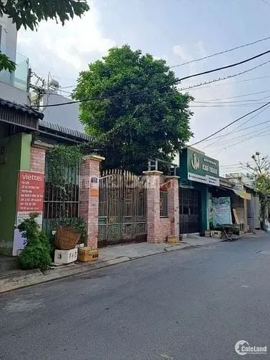 6025983 ảnh đại diện 1