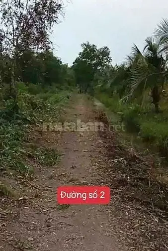 Chính Chủ Gửi, Bán Gấp Đất Vườn Thạnh Hoà, Bến Lức, Long An