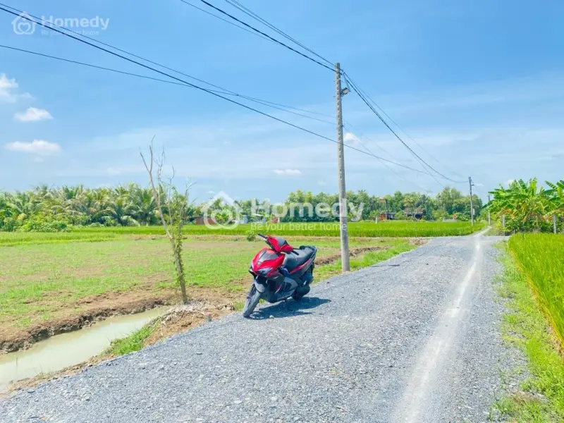 6026133 ảnh đại diện 1