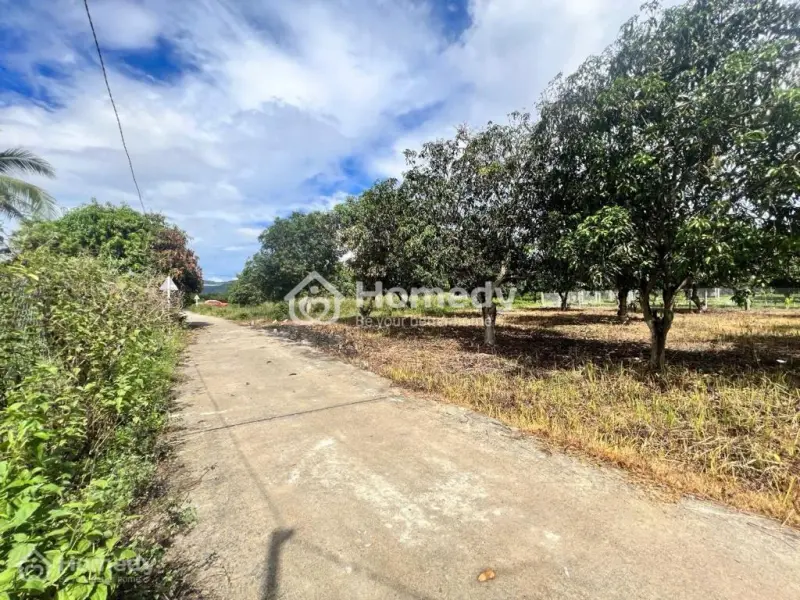 Đất Suối Tiên Ven Nha Trang Giá Rẽ