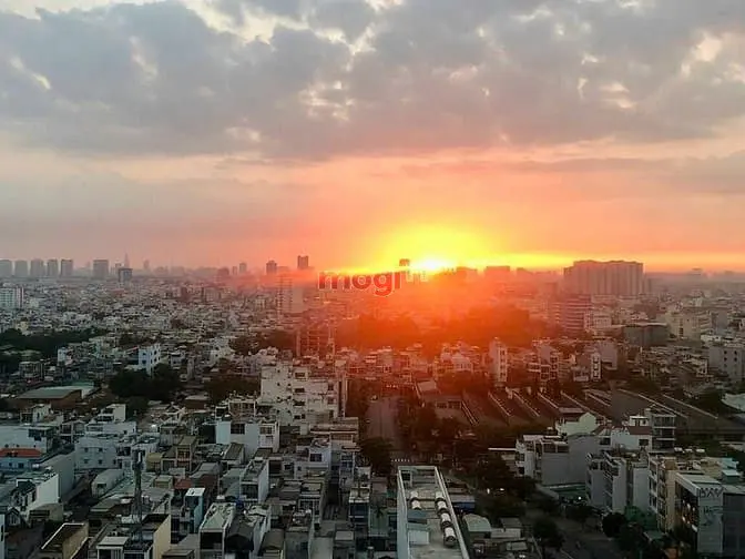 6026069 ảnh đại diện 1