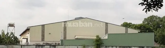 6026101 ảnh đại diện 1
