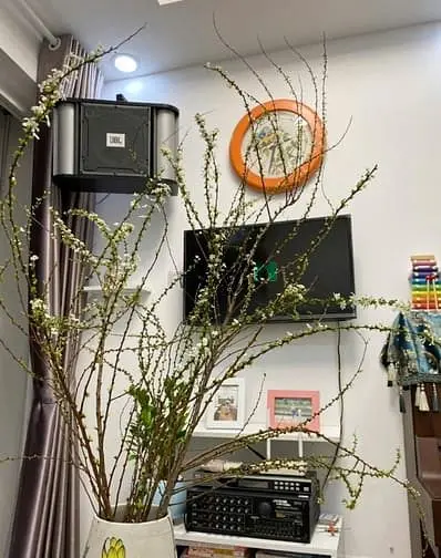 Bán Căn Hộ 2Pn Giá 3Ty Sổ Hồng Công Chứng Sang Tên Nhận Nhà Ngay