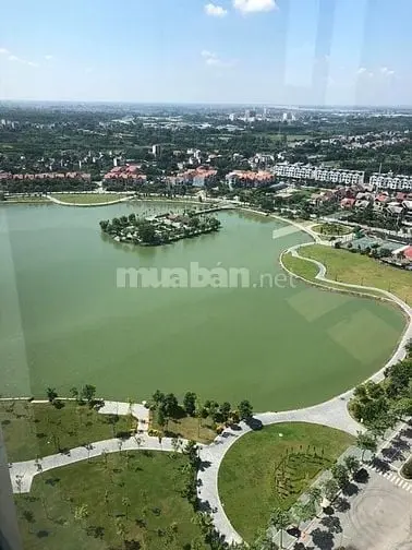 6025998 ảnh đại diện 1