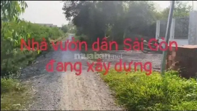 6025872 ảnh đại diện 1