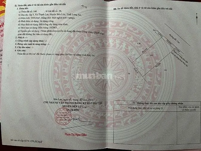 6025791 ảnh đại diện 1