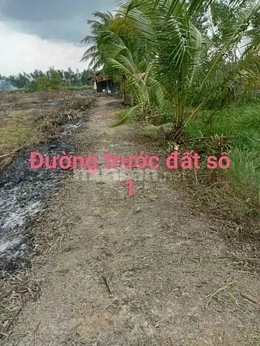 6025792 ảnh đại diện 1