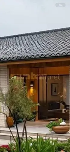 6025771 ảnh đại diện 1
