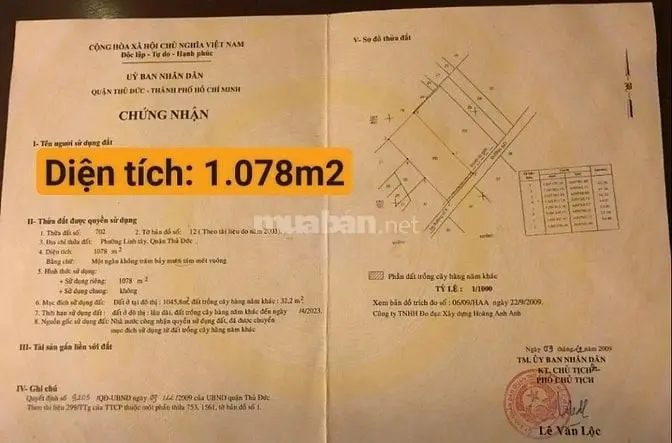 6026211 ảnh đại diện 1