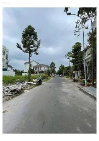 6026013 ảnh đại diện 1