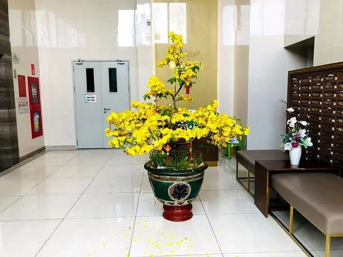 Cho Thuê Căn Hộ Moonlight Boulevr 2Pn 2Wc Full Nội Thất Giá 12Tr/Tháng