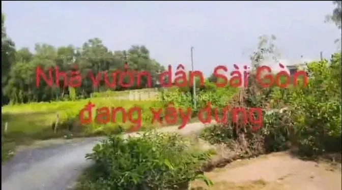 Cần Bán Gấp Đất Vườn, Ấp 5 Xã Thạnh Lợi, Tây Ninh..(Long An Cũ)