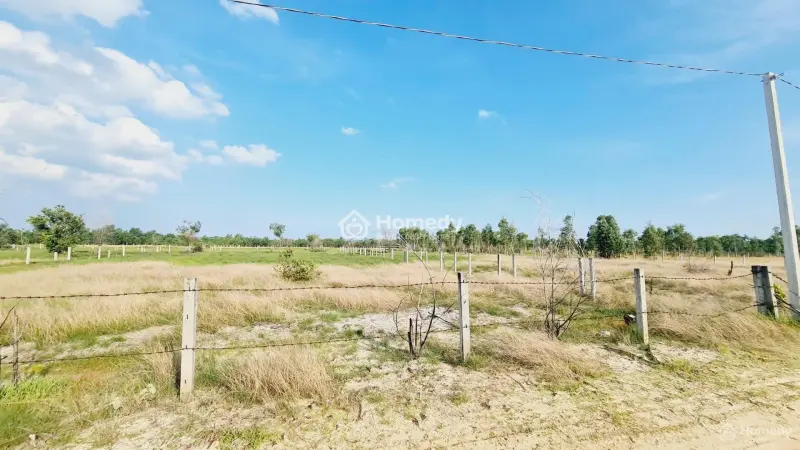 Bán Đất 1000M2 Mặt Tiền Đường Số 1 Rừng Vàng, Tân Bình, Lagi, Phủ Hồng, Gần Biển, Giá Rẻ 2 Tỷ