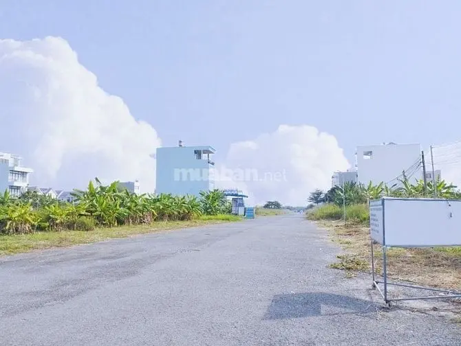 6026065 ảnh đại diện 1