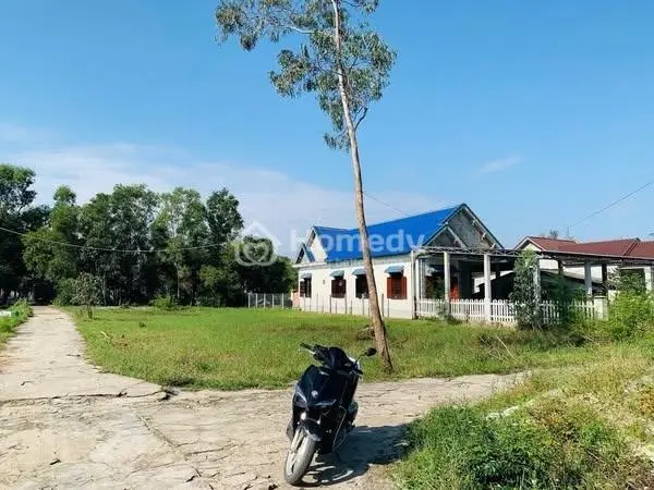 6026110 ảnh đại diện 1