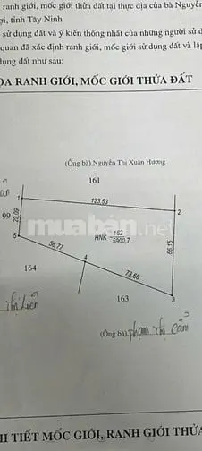 Chính Chủ Gửi, Bán Gấp Đất Vườn Thạnh Hoà, Bến Lức, Long An