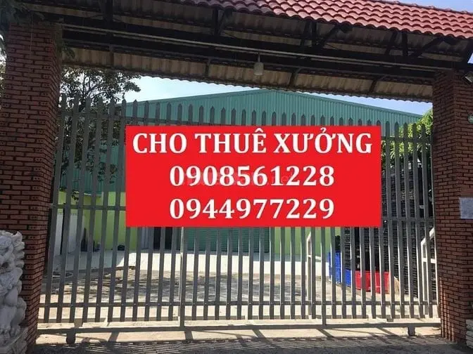 6026411 ảnh đại diện 1