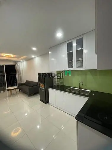 Cần Cho Thuê Căn Hộ 1Pn Ngay Kcn Biên Hòa 2, Ngã 3 Tân Vạn Giá 4.5 Tr