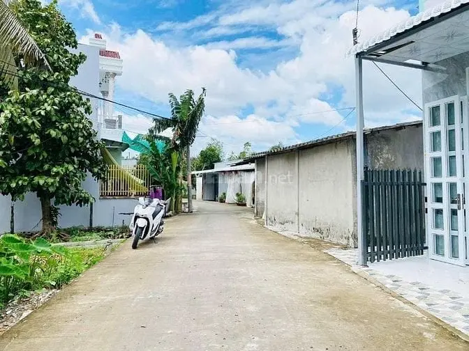 6026735 ảnh đại diện 1