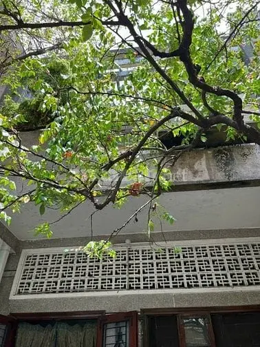 Bán Nhà Đường Xe Hơi 95M2 3Pn Gần Trường Sa