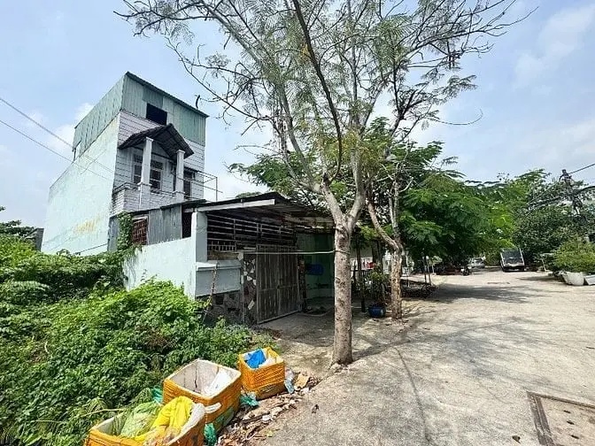 6026440 ảnh đại diện 1