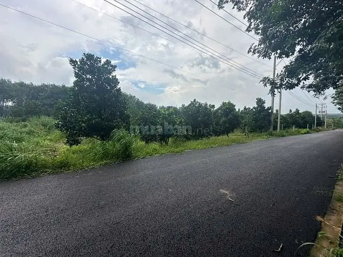 Cần Bán Gấp Lô Vườn Mít, 250M2, Mặt Tiền Dh507, Gần Trường Chợ