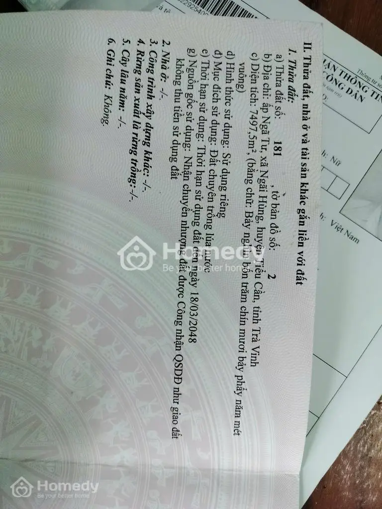 6026629 ảnh đại diện 1