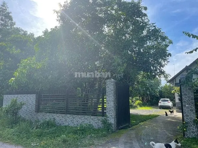 Bán Gấp Nhà Vườn Nhơn Trạch Giá Rẻ 3,4Tr/M.mt Sr Chính Chủ.gọi Ngay 24