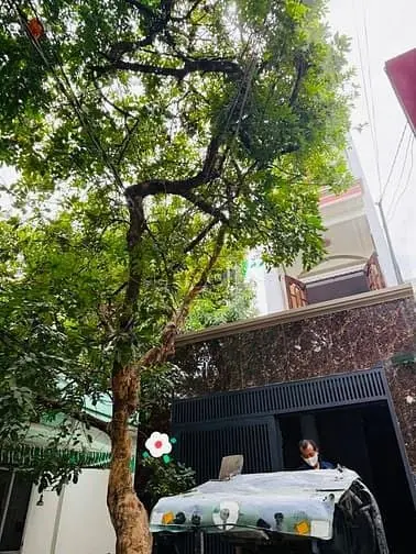 Bán Nhà Rẻ Đẹp Đúc 3 Lầu 8 Phòng (4,3X18) 306/4 Thống Nhất P16 Gò Vấp