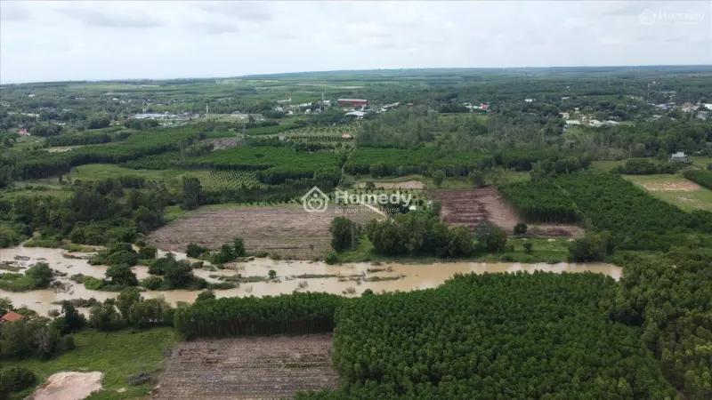 Bán 2000M2 Đất Tân Bình - Tx Lagi View Sông Dinh Giá Rẻ Chỉ 1 Tỷ/ Sào
