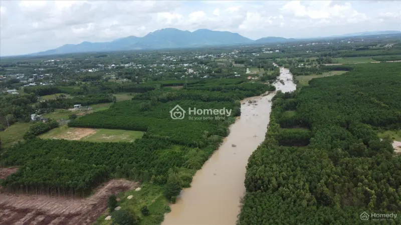 Bán 2000M2 Đất Tân Bình - Tx Lagi View Sông Dinh Giá Rẻ Chỉ 1 Tỷ/ Sào