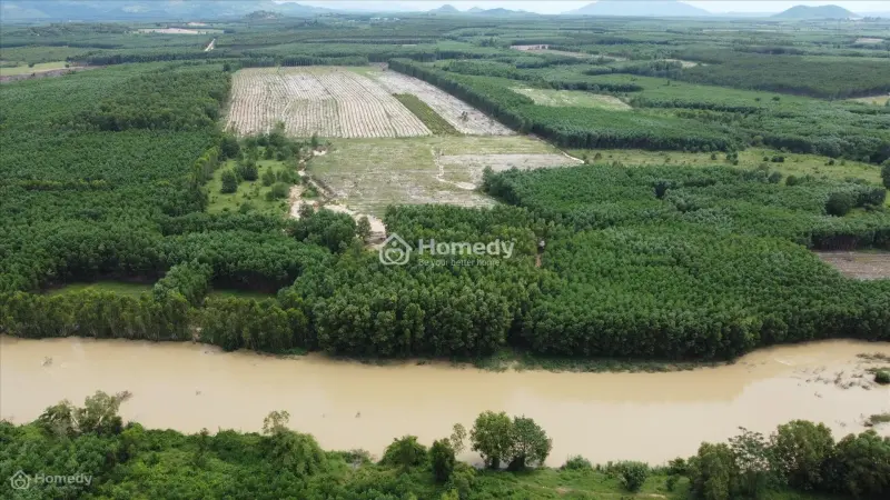 Bán 2000M2 Đất Tân Bình - Tx Lagi View Sông Dinh Giá Rẻ Chỉ 1 Tỷ/ Sào