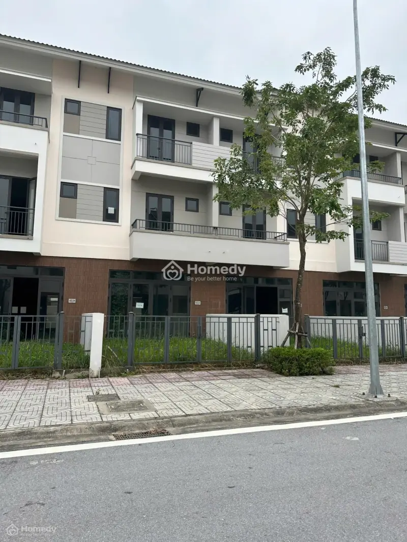 6026746 ảnh đại diện 1