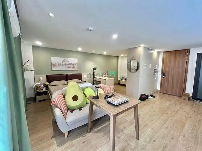 1Pn 40M2 Full Nội Thất Ban Công Ngay Đường Bùi Đình Túy, Bình Thạnh