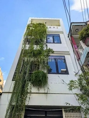 6026896 ảnh đại diện 1