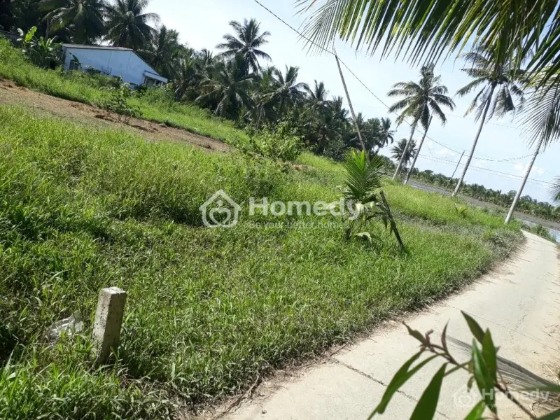 6026632 ảnh đại diện 1
